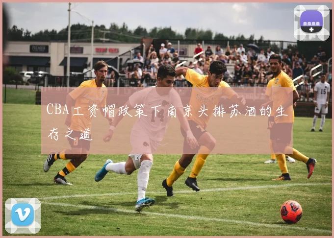 CBA工资帽政策下南京头排苏酒的生存之道