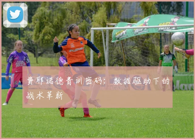 费耶诺德青训密码：数据驱动下的战术革新